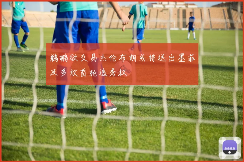 鹈鹕欲交易杰伦布朗或将送出墨菲及多枚首轮选秀权